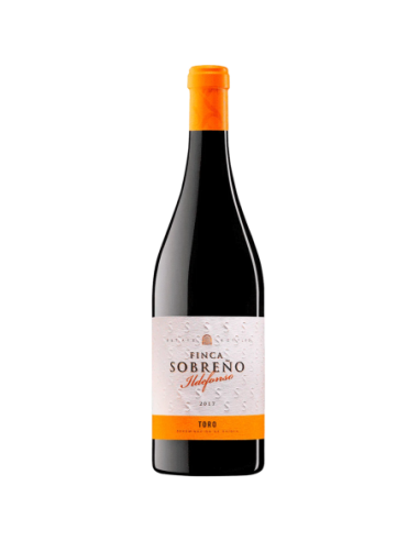 Finca Sobreño Ildefonso 2017