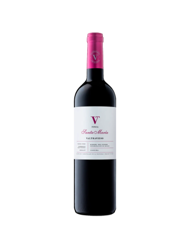 Vino Tinto Valtravieso Finca Santa María 2021 | Maridae