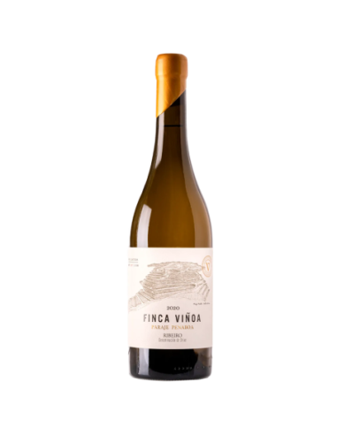 Vino Blanco Finca Viñoa Paraje Penaboa 2020 | Maridae