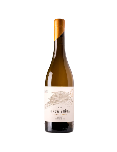 Vino Blanco Finca Viñoa Paraje Penaboa 2020 | Maridae