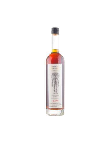 Botella de Brandy Domaine d'Aurensan Armagnac 15 años | Maridae