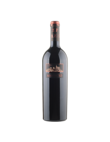 Vino Tinto Sierra Cantabria Amancio 2019 | Maridae