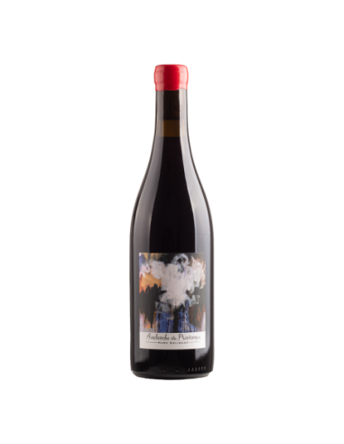 Vino Tinto Marc Delienne Avalanche de Printemps Fleurie 2021 Magnum | Maridae