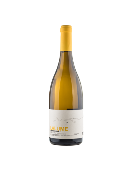 Vino Blanco Dominio Do Bibei Lalume 2020 | Maridae