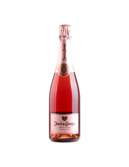 Juve y Camps Essential Pinot Noir Rosé Brut