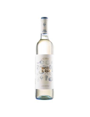 Vino Blanco Bico da Ran Albariño 2023 | Maridae