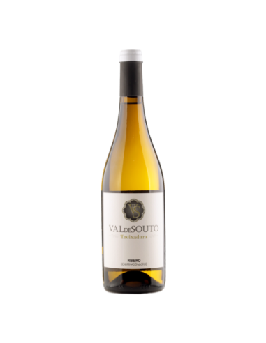 Vino Tinto Valdesouto Blanco 2023 | Maridae