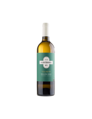 Vino Tinto Maritavora N. 5 Organic White 2023 | Maridae