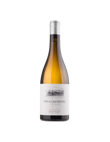 Vino Blanco Mustiguillo Finca Calvestra 2022 | Maridae