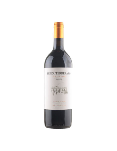 Vino Tinto Mustiguillo Finca Terrerazo 2021 | Maridae