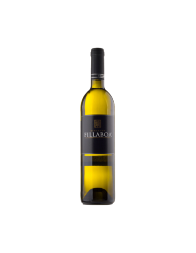 Vino Blanco Fillaboa 2023 | Maridae