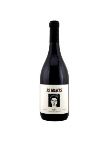 Vino Tinto El Enemigo As Bravas Malbec 2016 | Maridae