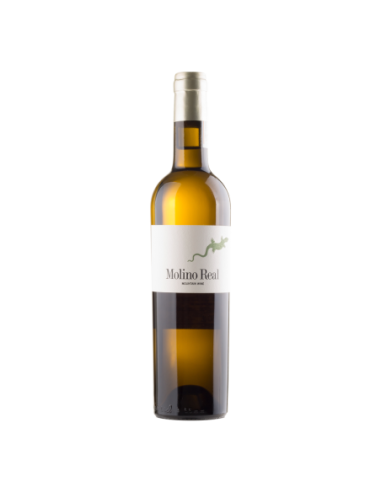 Vino Blanco Molino Real 2020 | Maridae