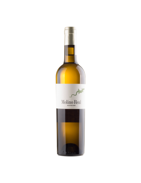 Vino Blanco Molino Real 2020 | Maridae