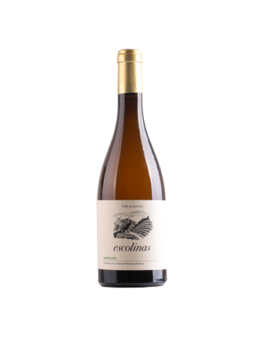 Vino Blanco Escolinas Albarin Blanco 2023 | Maridae