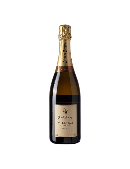 Juve y Camps Millesime Chardonnay 2019