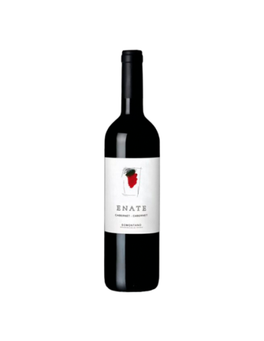 Vino Tinto Enate Cabernet-Cabernet 2017 | Maridae