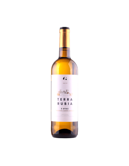 Terra Rubia Godello 2022