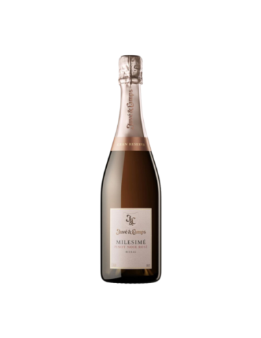 Juve y Camps Millesime Pinot Noir Rosé 2019