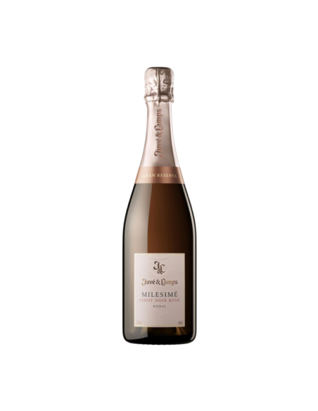 Juve y Camps Millesime Pinot Noir Rosé 2019