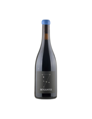 Microbio Wines Tempranillo Arróyelos 2019