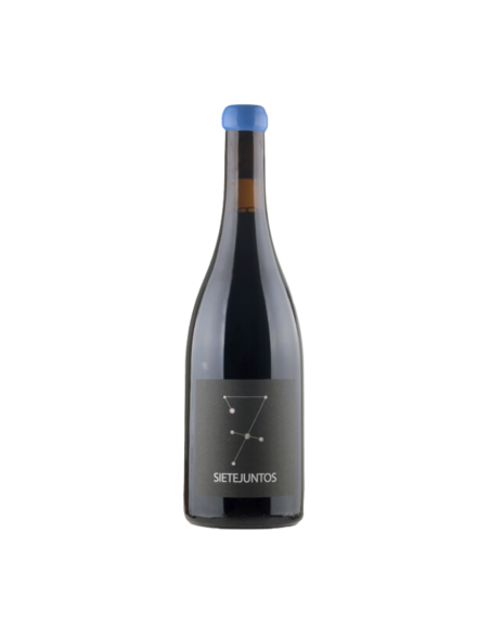 Microbio Wines Tempranillo Arróyelos 2019