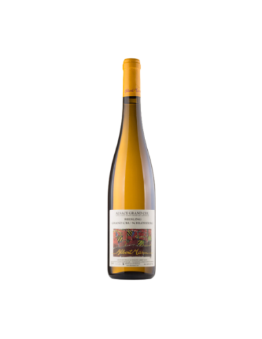 Albert Mann Riesling Schlossberg GC 2020