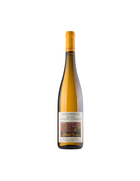 Albert Mann Riesling Schlossberg GC 2020