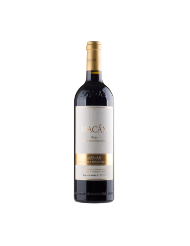 Macán 2019 Magnum