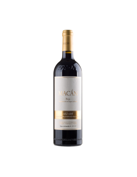 Macán 2019 Magnum